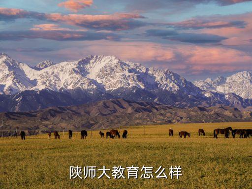 陜師大教育怎么樣