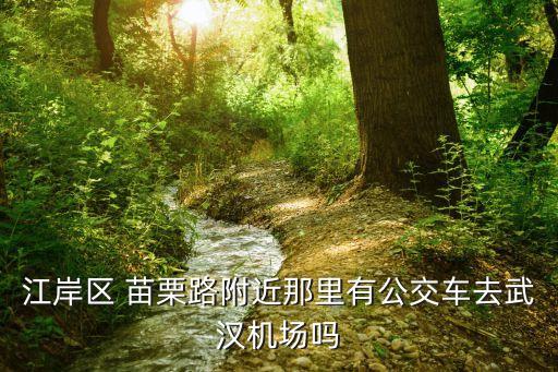 苗栗路,從武漢到香港路:先坐534路到苗栗路