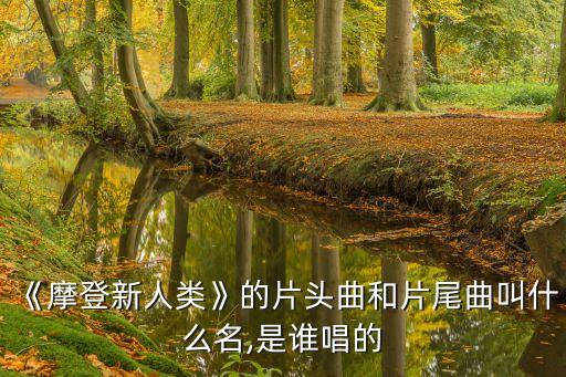 居來,來歲來歲網絡解釋是什么?