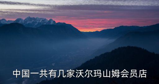 中國一共有幾家沃爾瑪山姆會員店