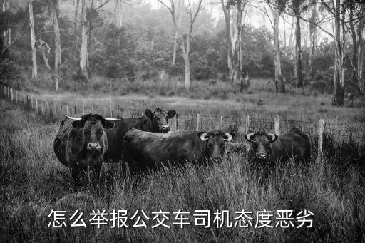 公交車投訴平臺,成都公交投訴平臺有兩種方式投訴