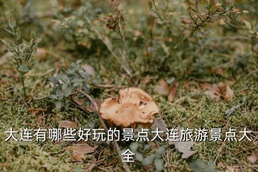 大連有什么好玩的,大連有哪些好玩的地方?一文看懂