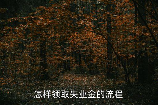 失業保險怎么辦理流程,失業金怎么辦理?!