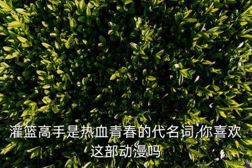 灌籃高手是熱血青春的代名詞,你喜歡這部動漫嗎