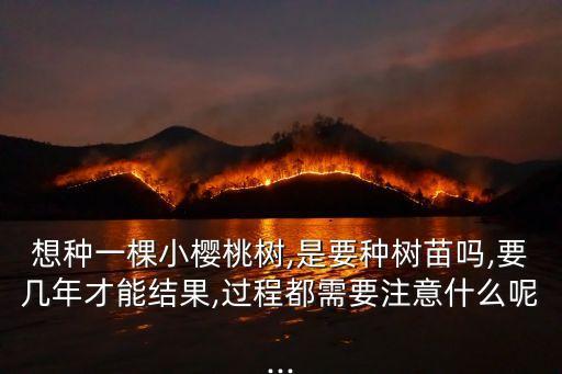 想種一棵小櫻桃樹,是要種樹苗嗎,要幾年才能結果,過程都需要注意什么呢...