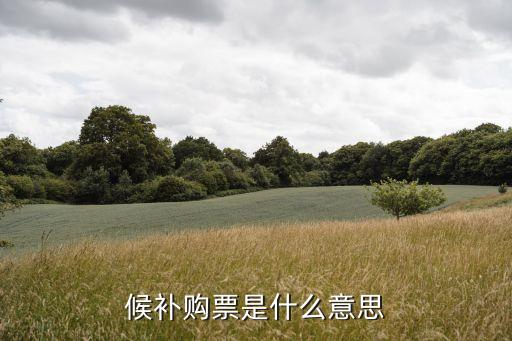 車(chē)票候補(bǔ)什么意思,火車(chē)票怎么買(mǎi)?