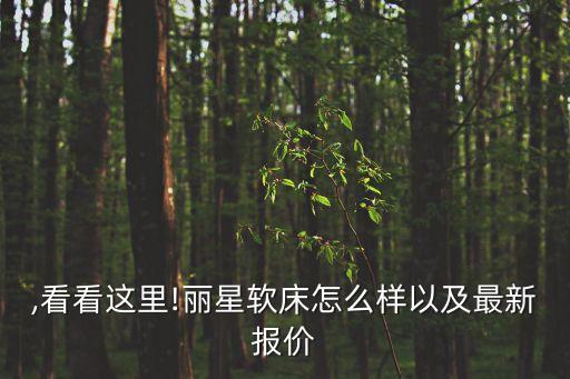 麗星,看看這里!麗星軟床怎么樣以及最新報(bào)價(jià)