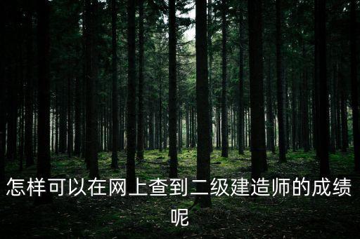 怎樣可以在網上查到二級建造師的成績呢