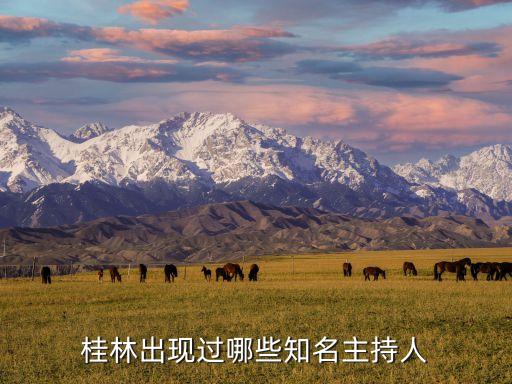 桂林出現過哪些知名主持人
