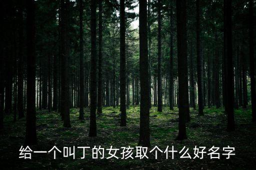 丁江,那個叫丁的女孩叫什么名字?
