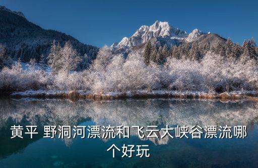 野洞河,貴州野洞河還有飛云嗎?