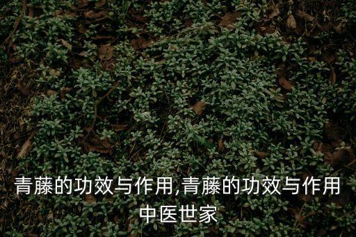 春藤,春藤春素是哪個國家的?