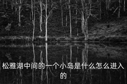 松雅湖中間的一個小島是什么怎么進入的