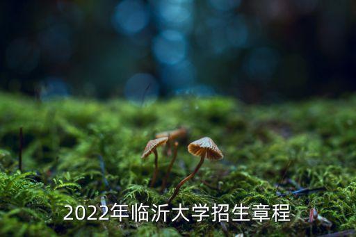 2022年臨沂大學招生章程