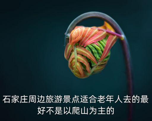 石家莊周邊旅游景點適合老年人去的最好不是以爬山為主的