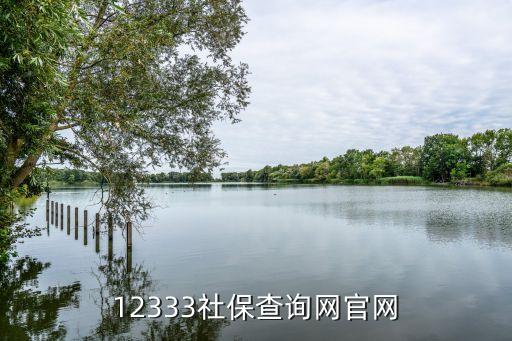 社保平臺,北京社保代繳四大平臺?