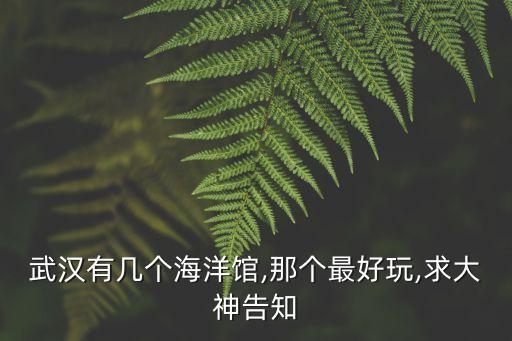 武漢有幾個海洋館,那個最好玩,求大神告知
