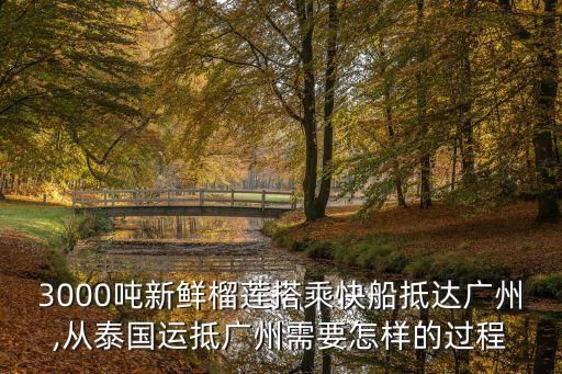 3000噸新鮮榴蓮搭乘快船抵達廣州,從泰國運抵廣州需要怎樣的過程