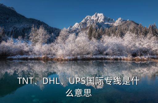 TNT、DHL、UPS國際專線是什么意思