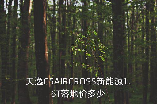 天逸C5AIRCROSS新能源1.6T落地價多少