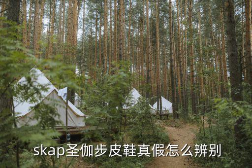  skap圣伽步皮鞋真假怎么辨別