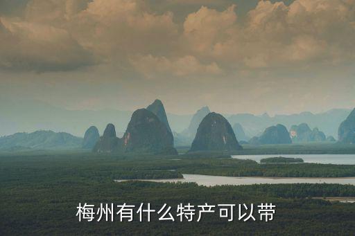 梅州有什么特產可以帶