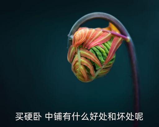 中鋪,火車上鋪下鋪中鋪哪個好?