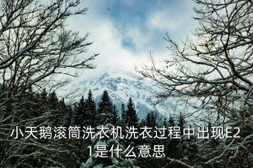 e21,雅詩蘭黛日霜e21是什么意思?