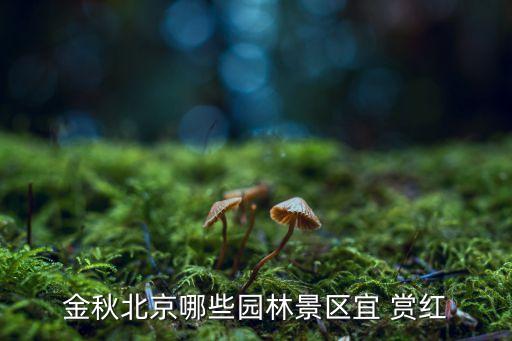 賞紅,天津賞紅葉最佳時間哪里最好?