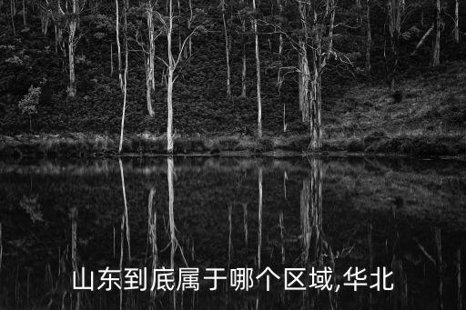 山東是什么地區,中國地理位置劃分11個區東西南北地區劃分區域