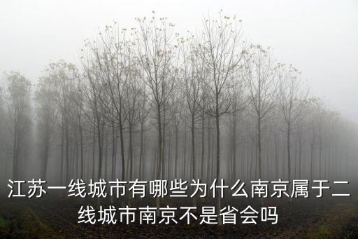 江蘇一線城市有哪些為什么南京屬于二線城市南京不是省會嗎