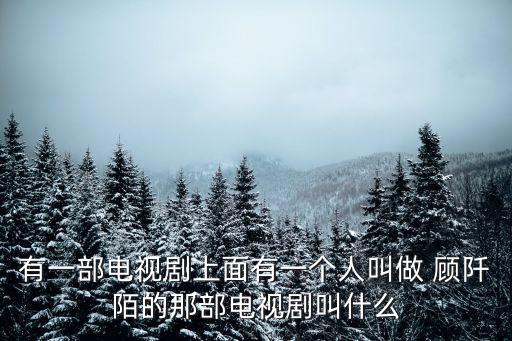 有一部電視劇上面有一個(gè)人叫做 顧阡陌的那部電視劇叫什么