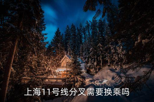 十一號線線路圖,十一號線怎么到上海歡樂谷和花橋線的路線?