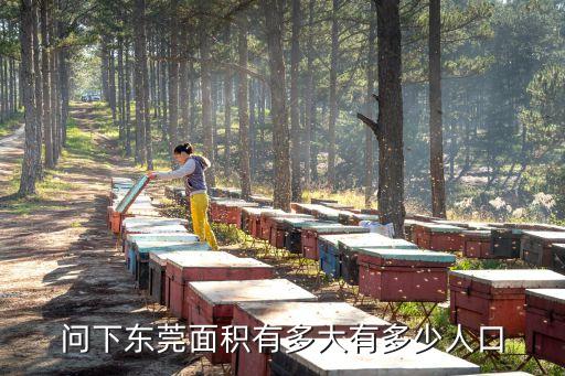 問下東莞面積有多大有多少人口