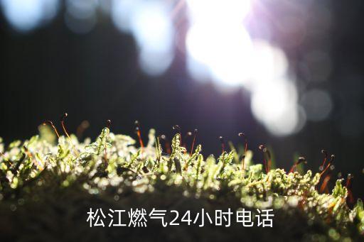 液化氣公司電話,貴陽液化天然氣有限責任公司電話是多少?