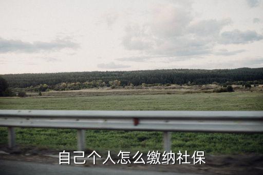 社保個人怎么交,怎么給自己交社保?