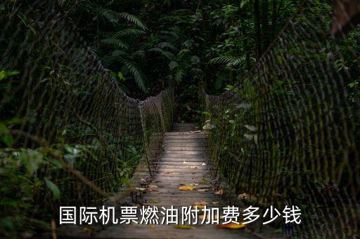 飛機燃油費,機票燃油費是什么意思機票建設費與燃油附加費
