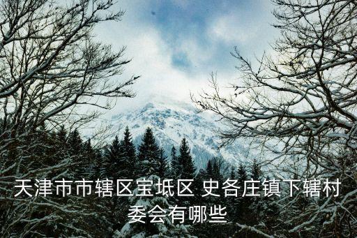 天津市市轄區(qū)寶坻區(qū) 史各莊鎮(zhèn)下轄村委會有哪些