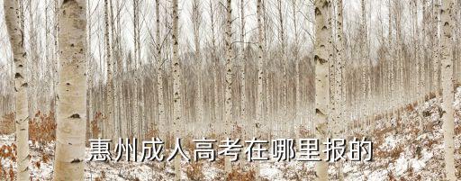惠州成人高考在哪里報的