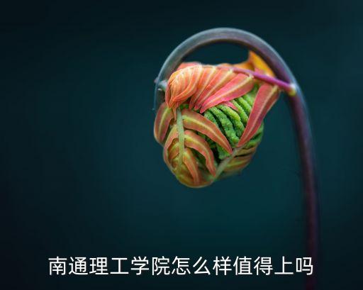 南通理工大學,南通理工學院怎么樣?