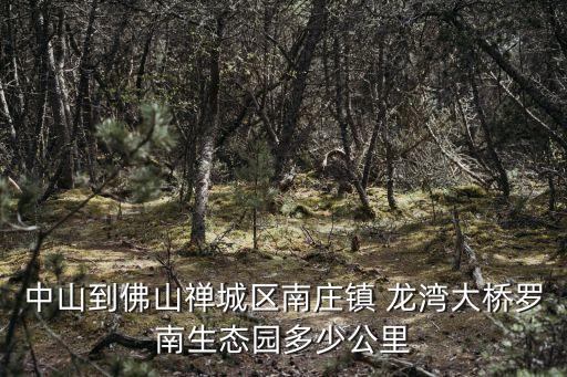 龍灣大橋,龍灣大橋被評為佛山在建橋梁中的一哥