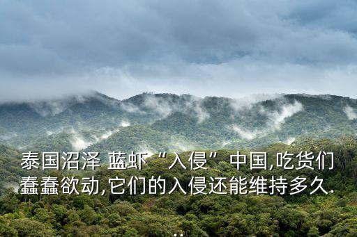 泰國沼澤 藍蝦“入侵”中國,吃貨們蠢蠢欲動,它們的入侵還能維持多久...