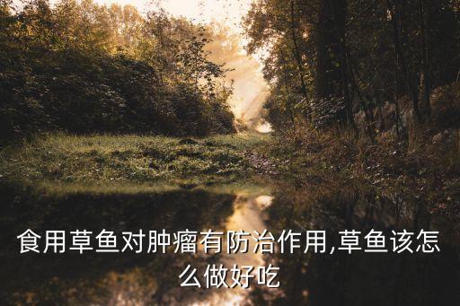 食用草魚對腫瘤有防治作用,草魚該怎么做好吃