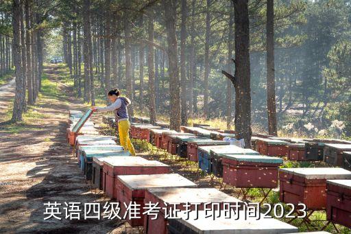 英語四級打印,英語四級準(zhǔn)考證怎么打印出來?
