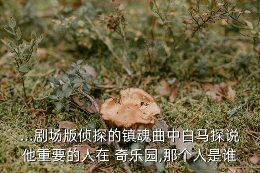 奇樂園,蘭州最大的兒童樂園是哪個?
