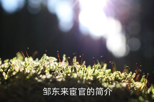 鄒東,山東聊城東魯街道下轄村委會(huì)有哪些?