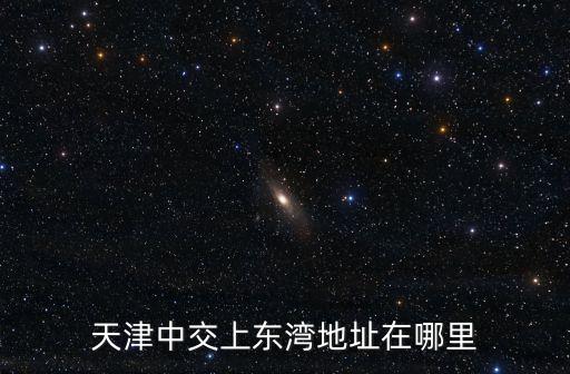 天津中交上東灣地址在哪里