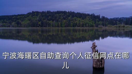 信用寧波網(wǎng),寧波銀行信用卡怎么辦?