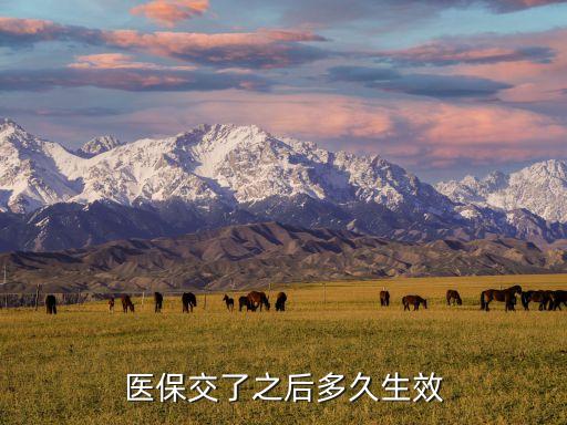 醫保交了之后多久生效