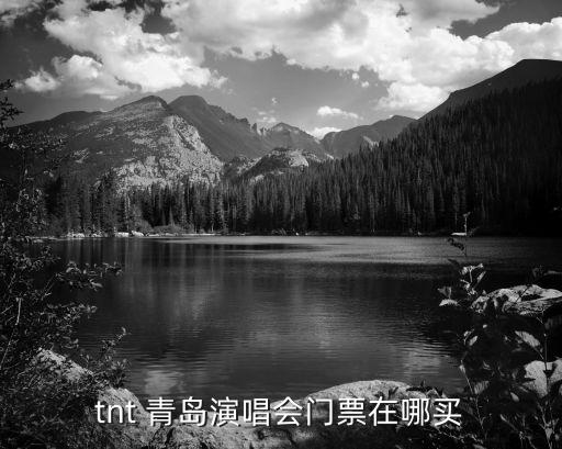 青島演唱會,時代少年團青島演唱會登場